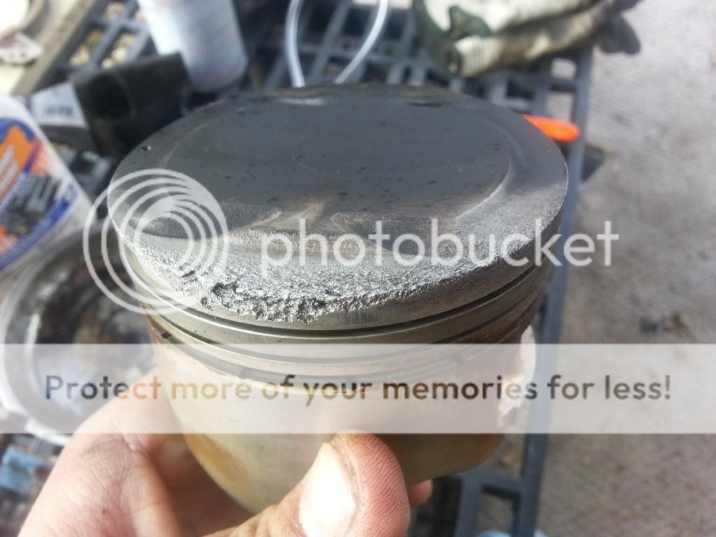 piston scarring Nissan Forum Nissan Forums